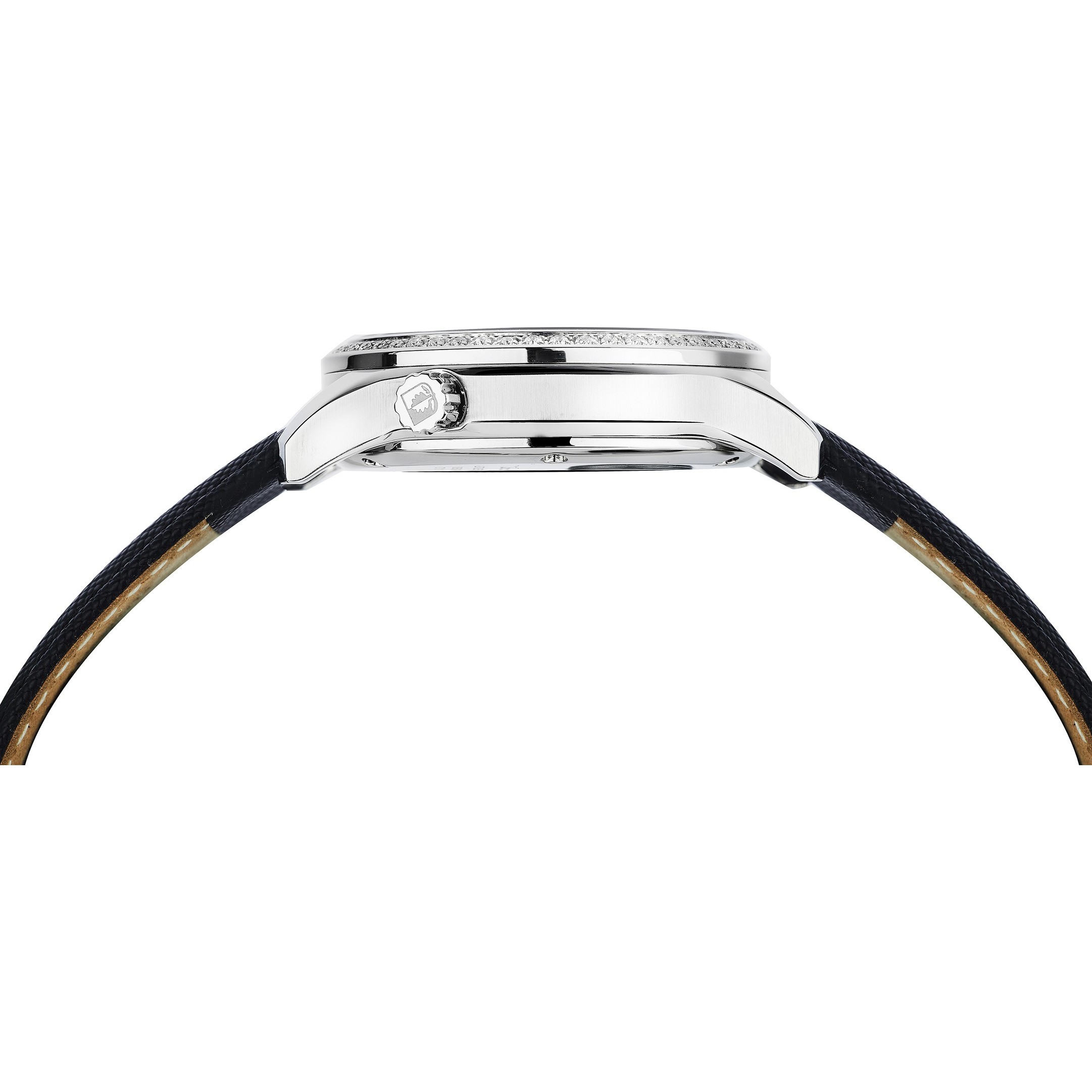 Coquille D 713.41.31