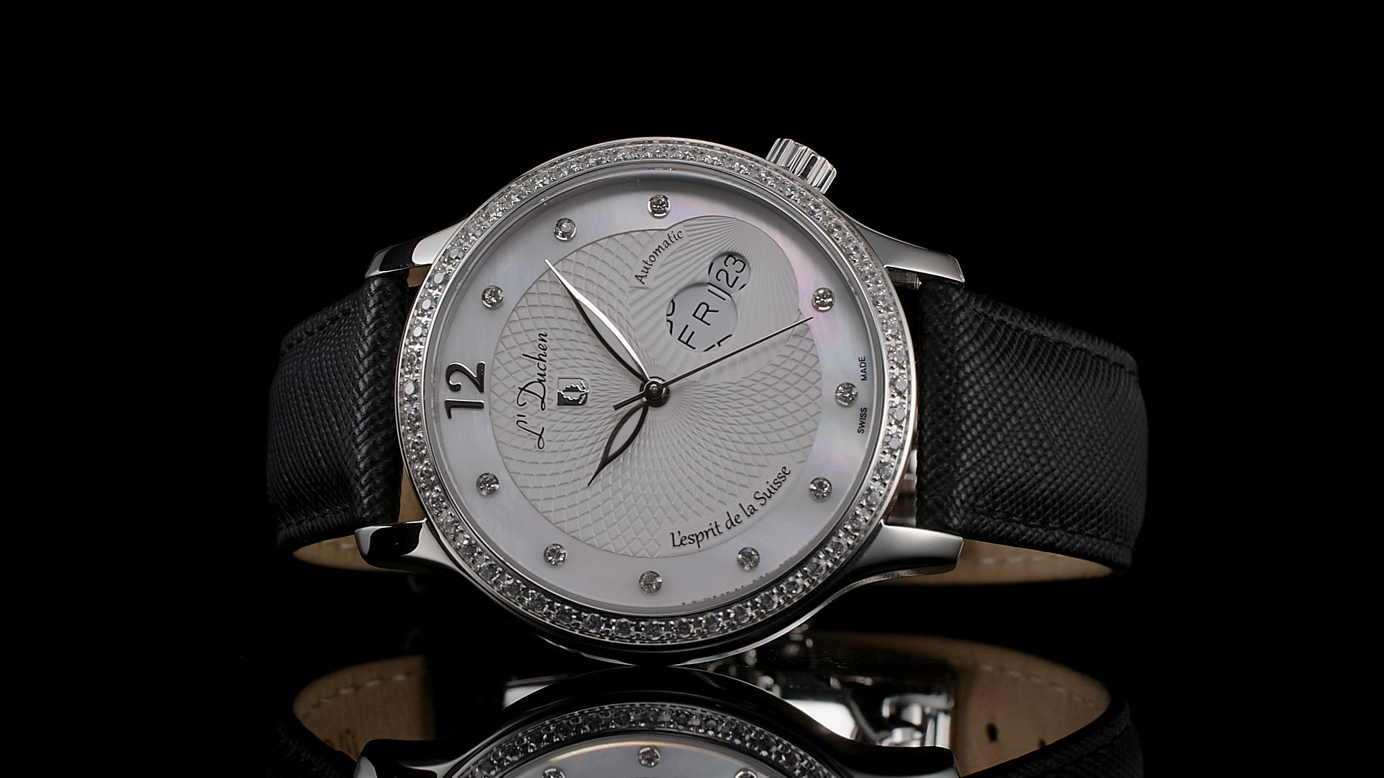 Coquille D 713.11.33