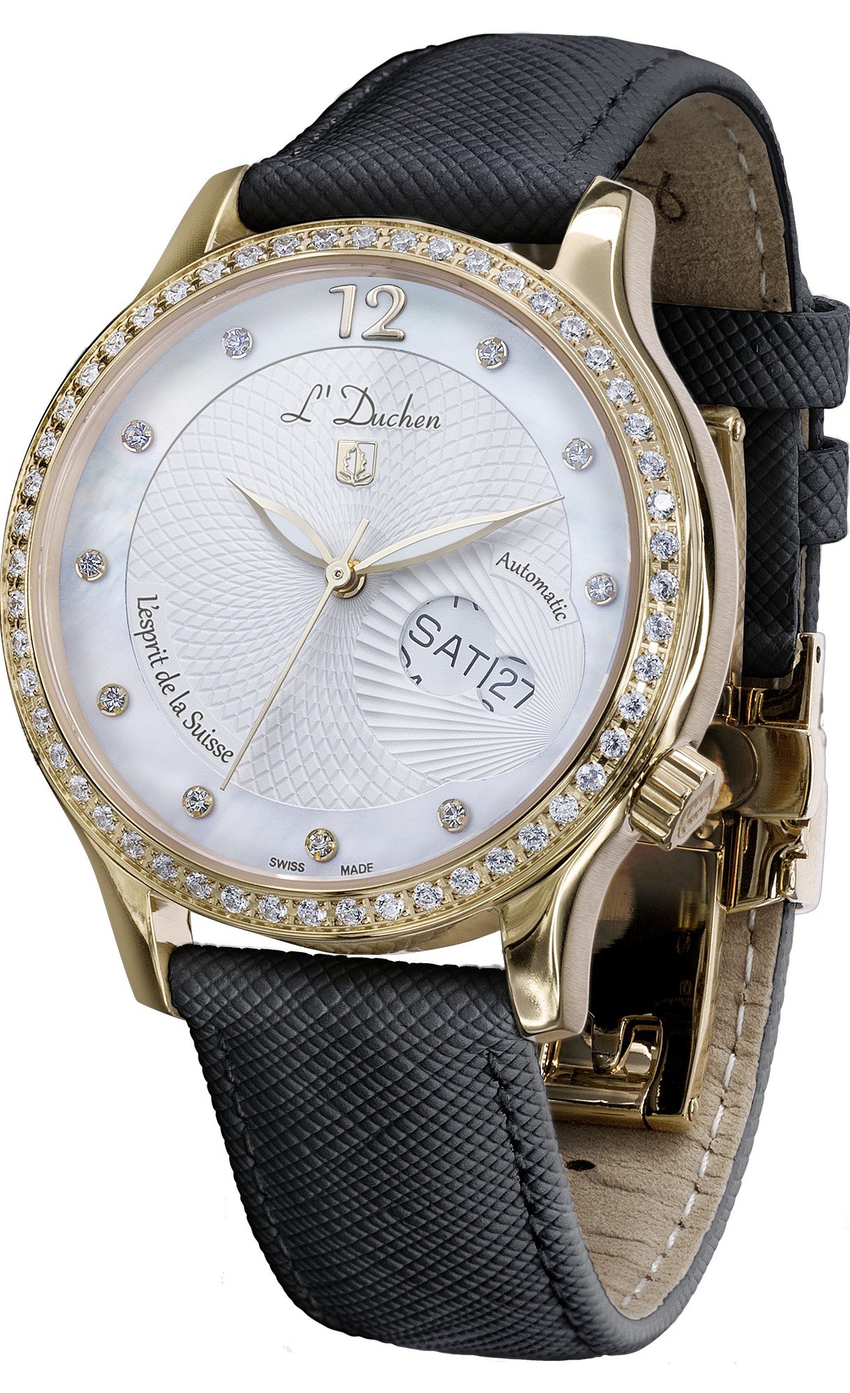 Coquille D 713.21.33