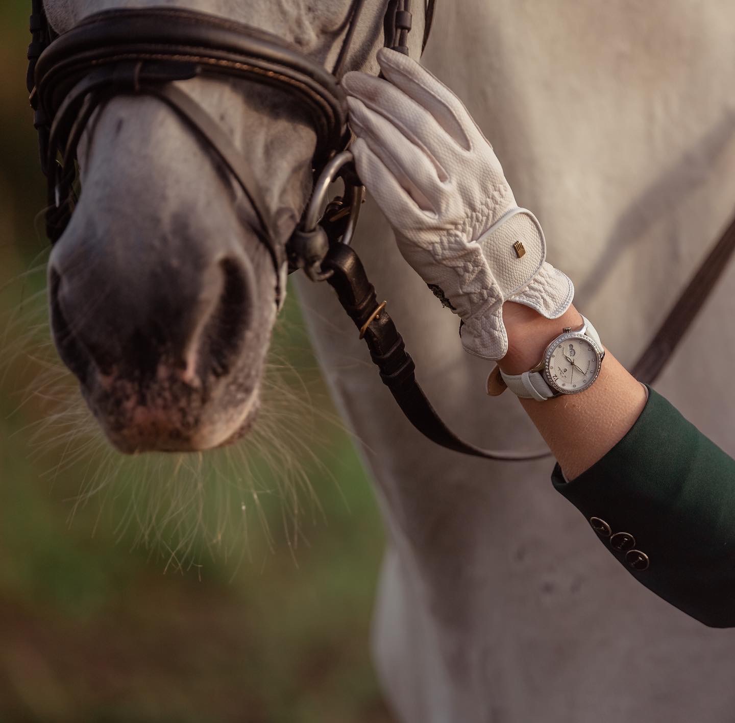 Coquille D 713.16.33