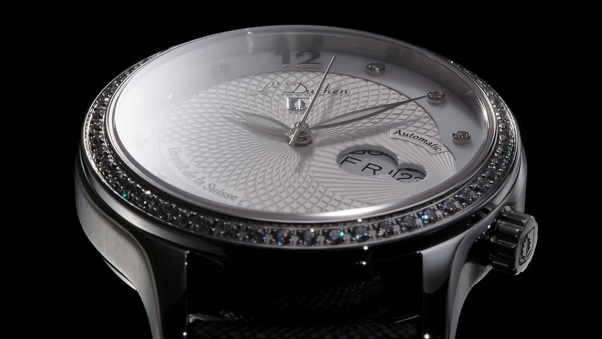 Coquille D 713.11.33