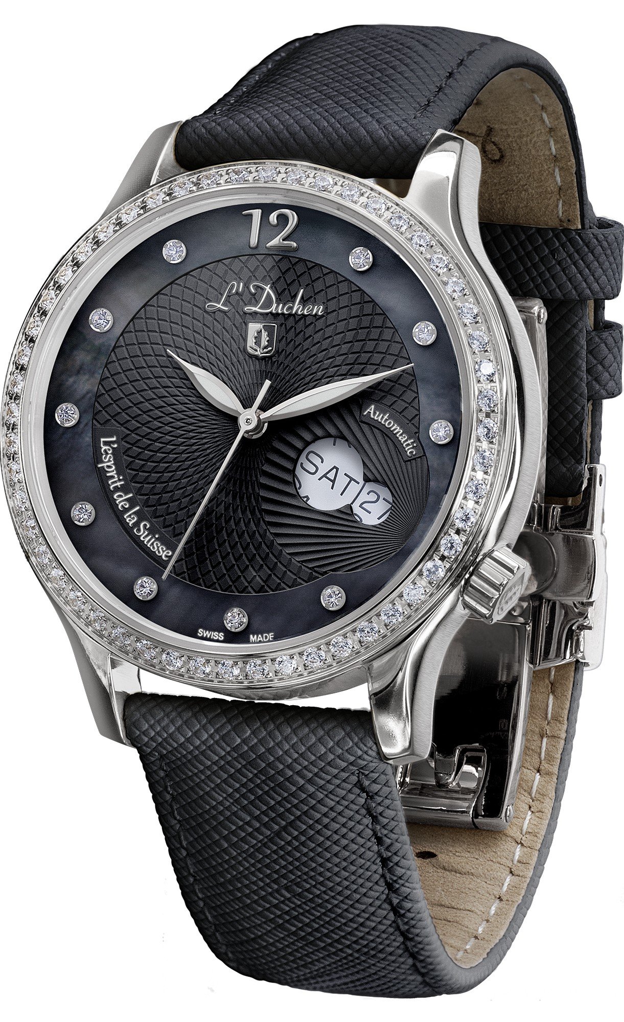 Coquille D 713.11.31