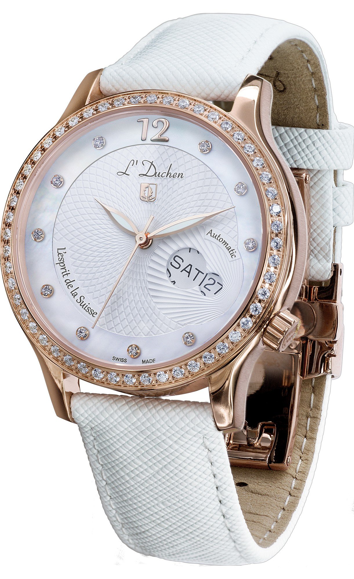 Coquille D 713.46.33