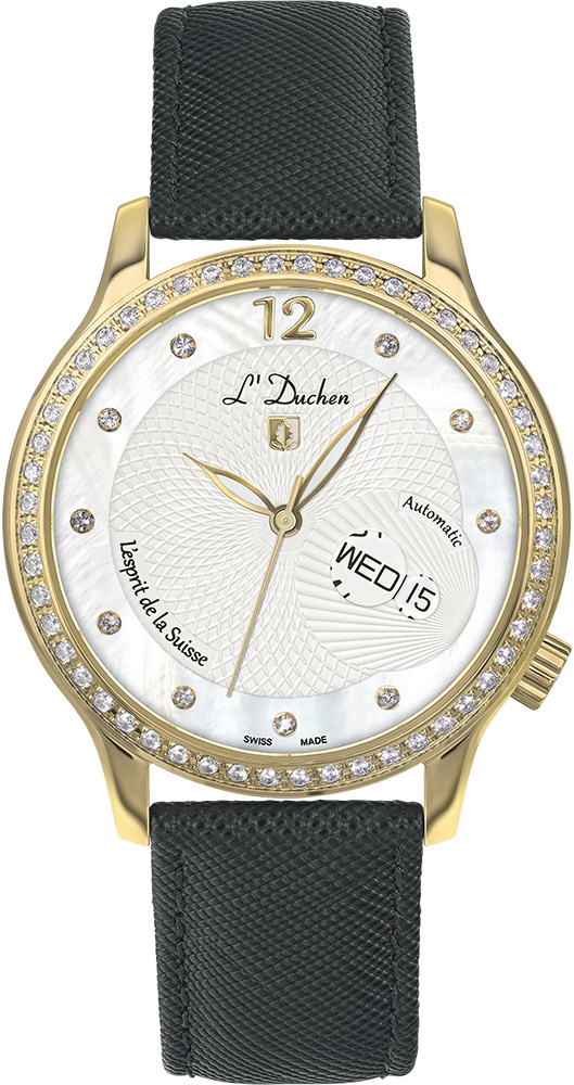 Coquille D 713.21.33