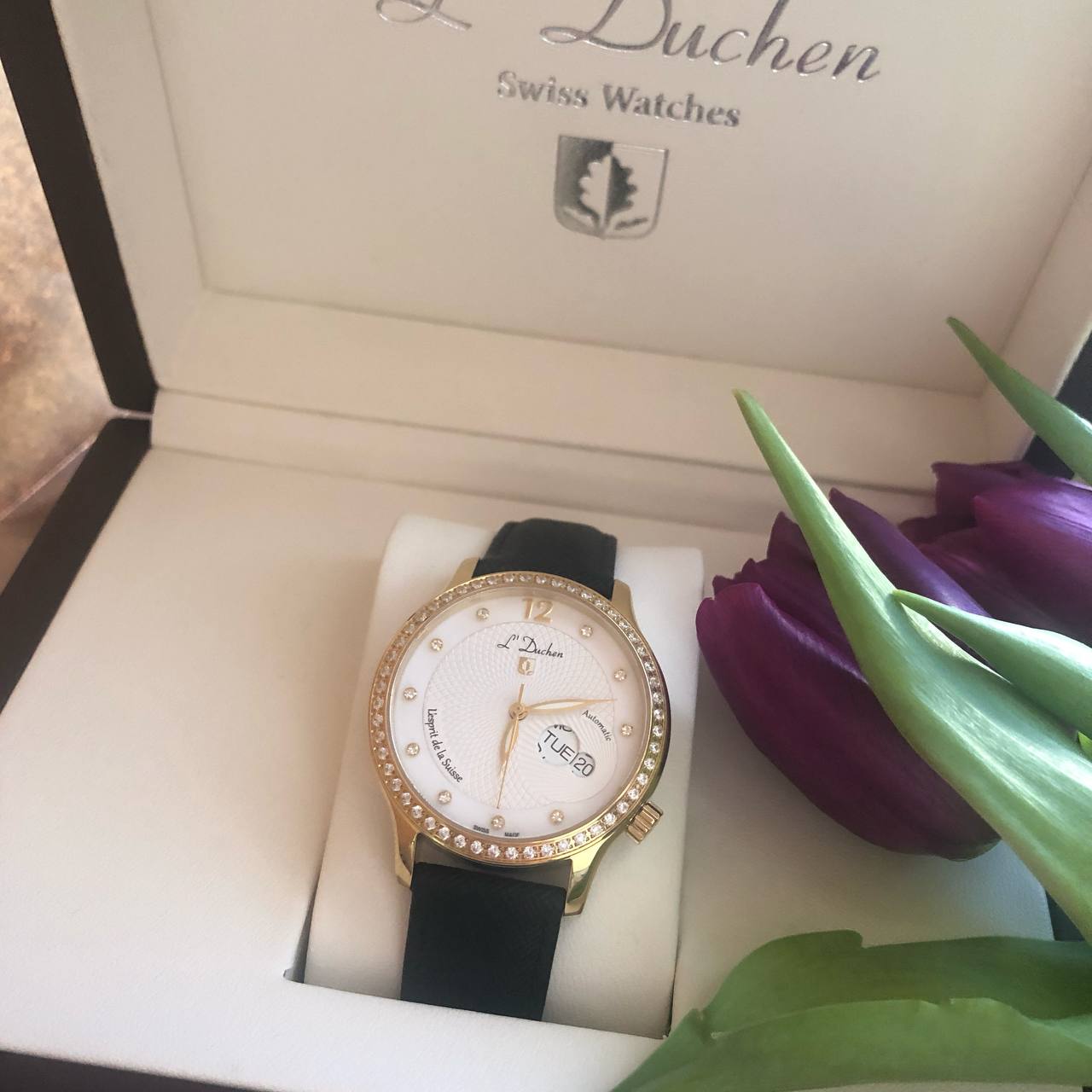 Coquille D 713.21.33