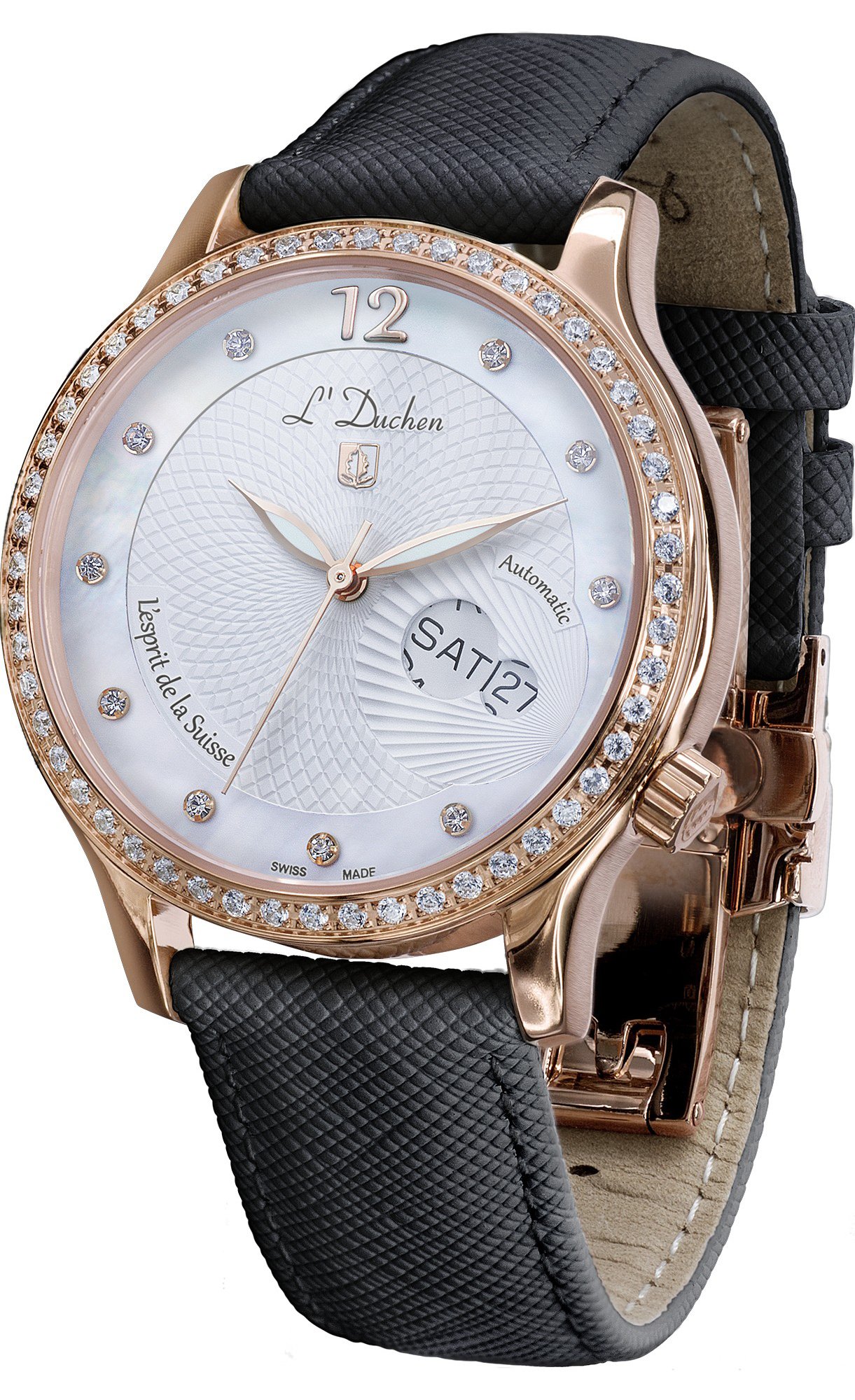 Coquille D 713.41.33