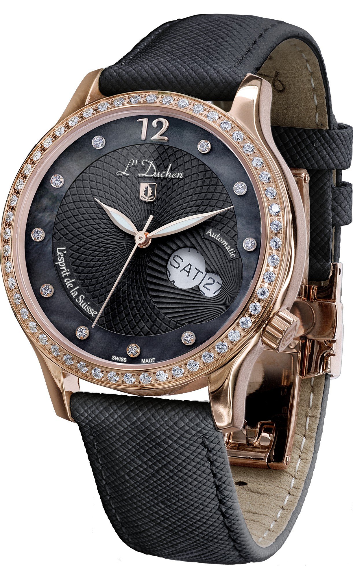 Coquille D 713.41.31