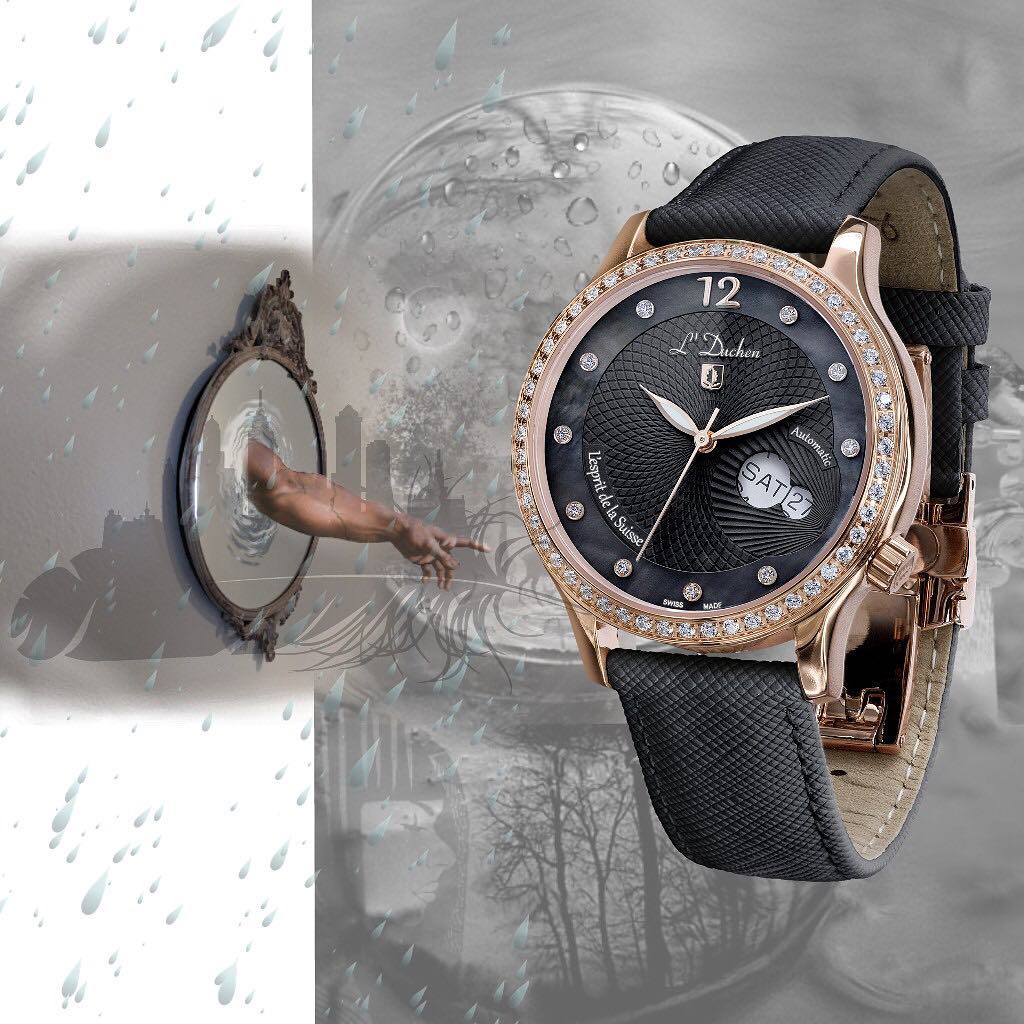 Coquille D 713.41.31