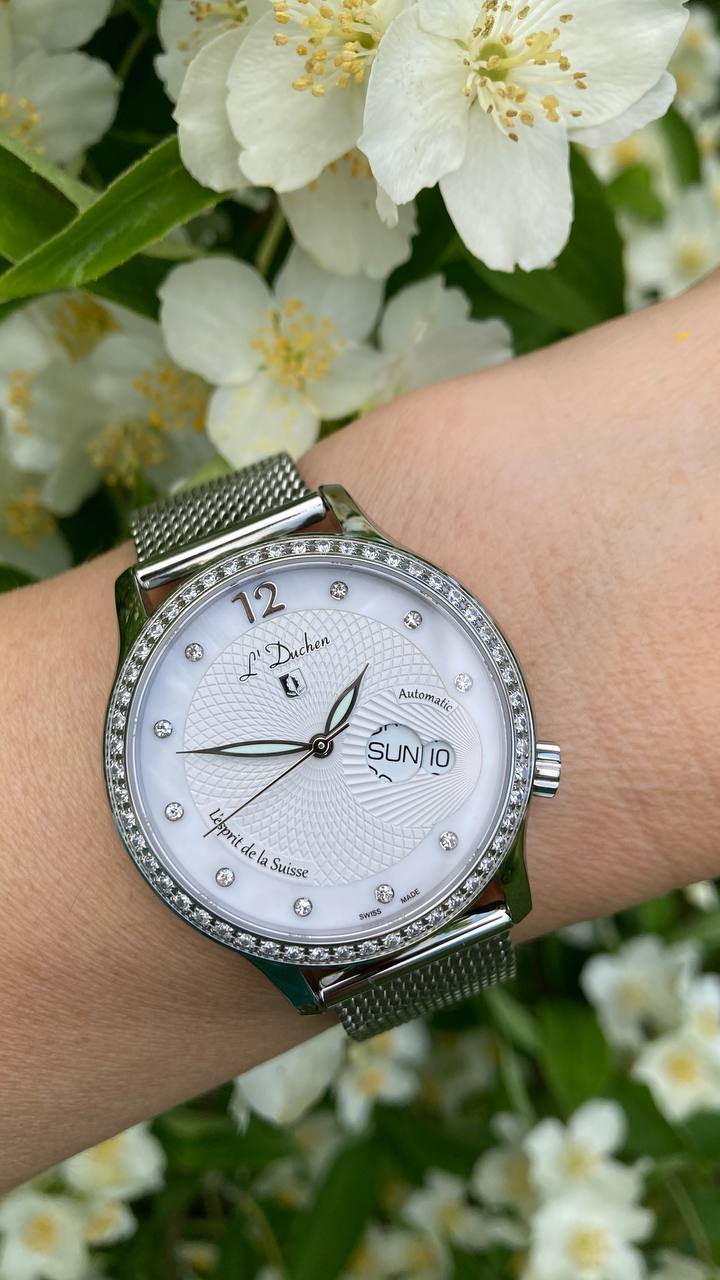 Coquille D 713.16.33 M