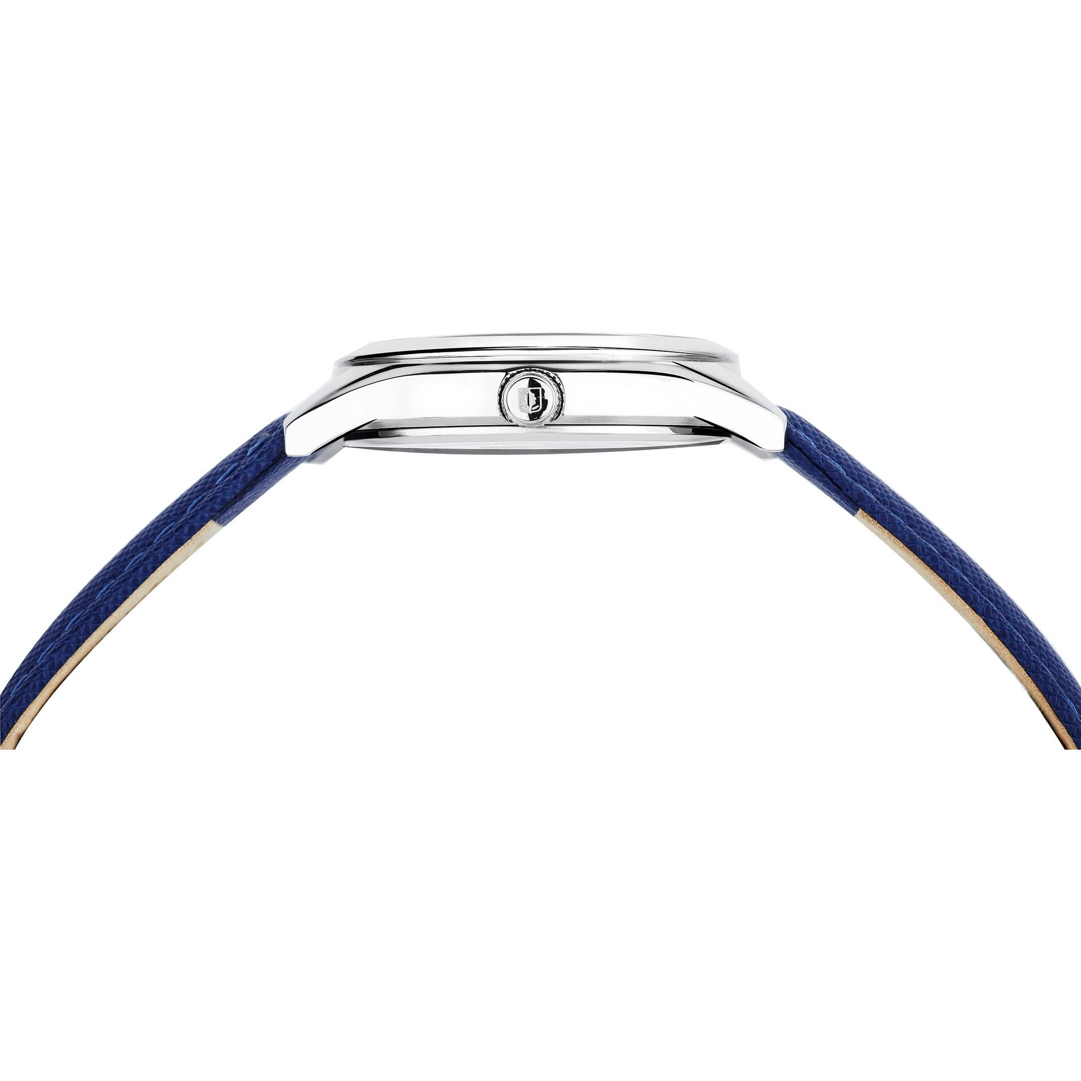 Perseides D 837.13.47