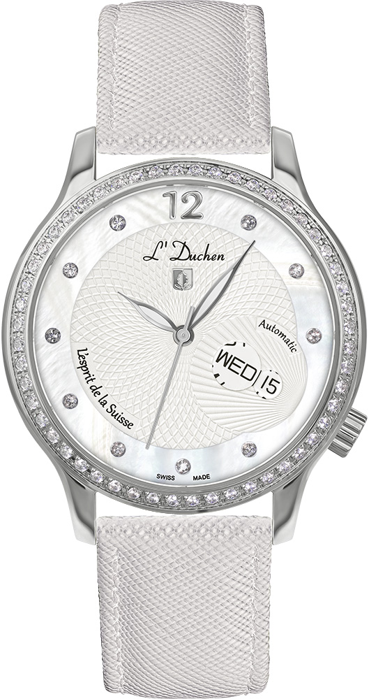 Coquille D 713.16.33