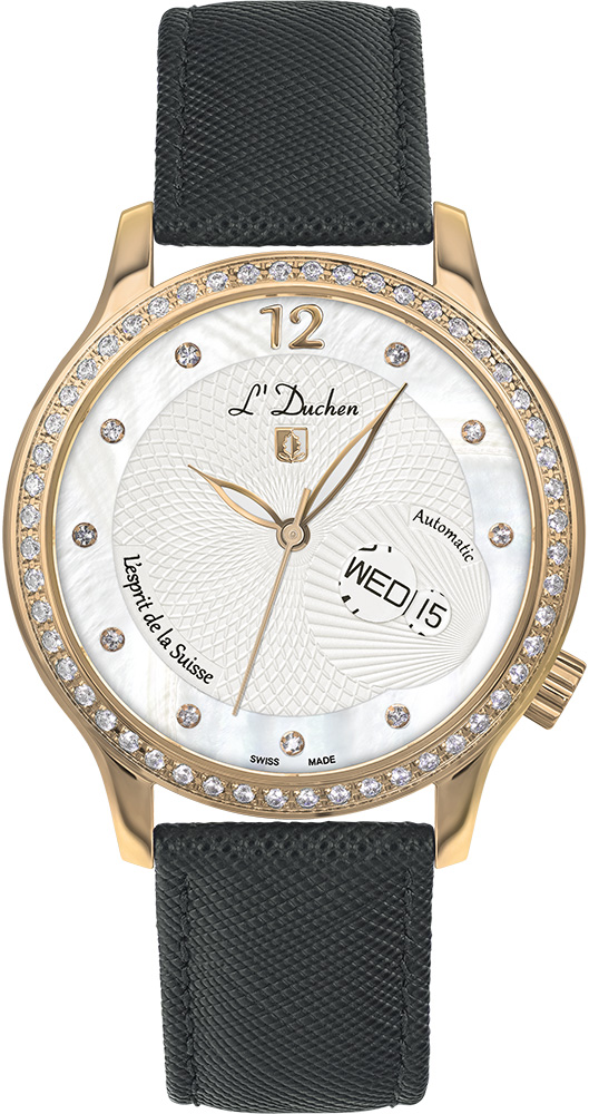 Coquille D 713.41.33