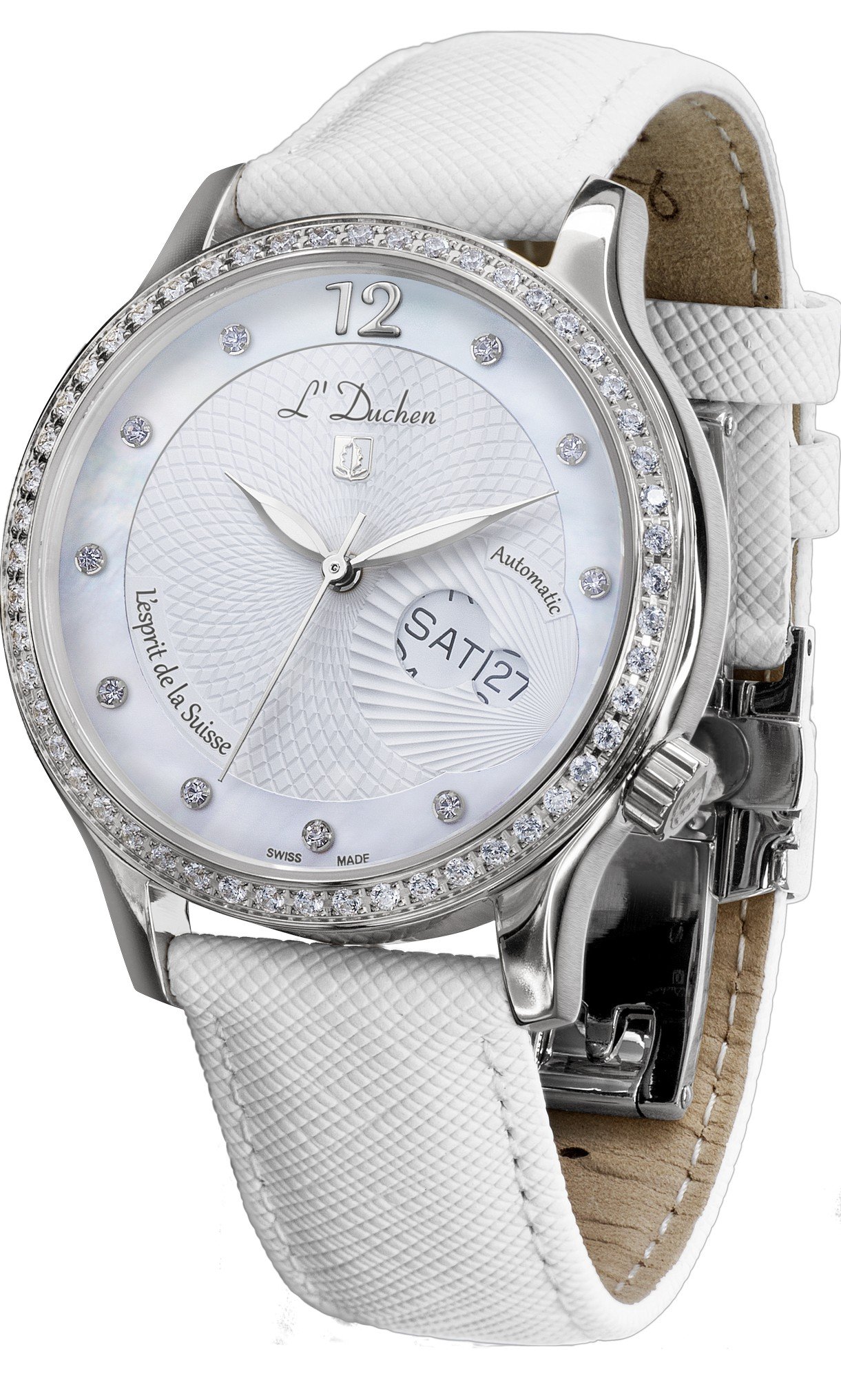 Coquille D 713.16.33