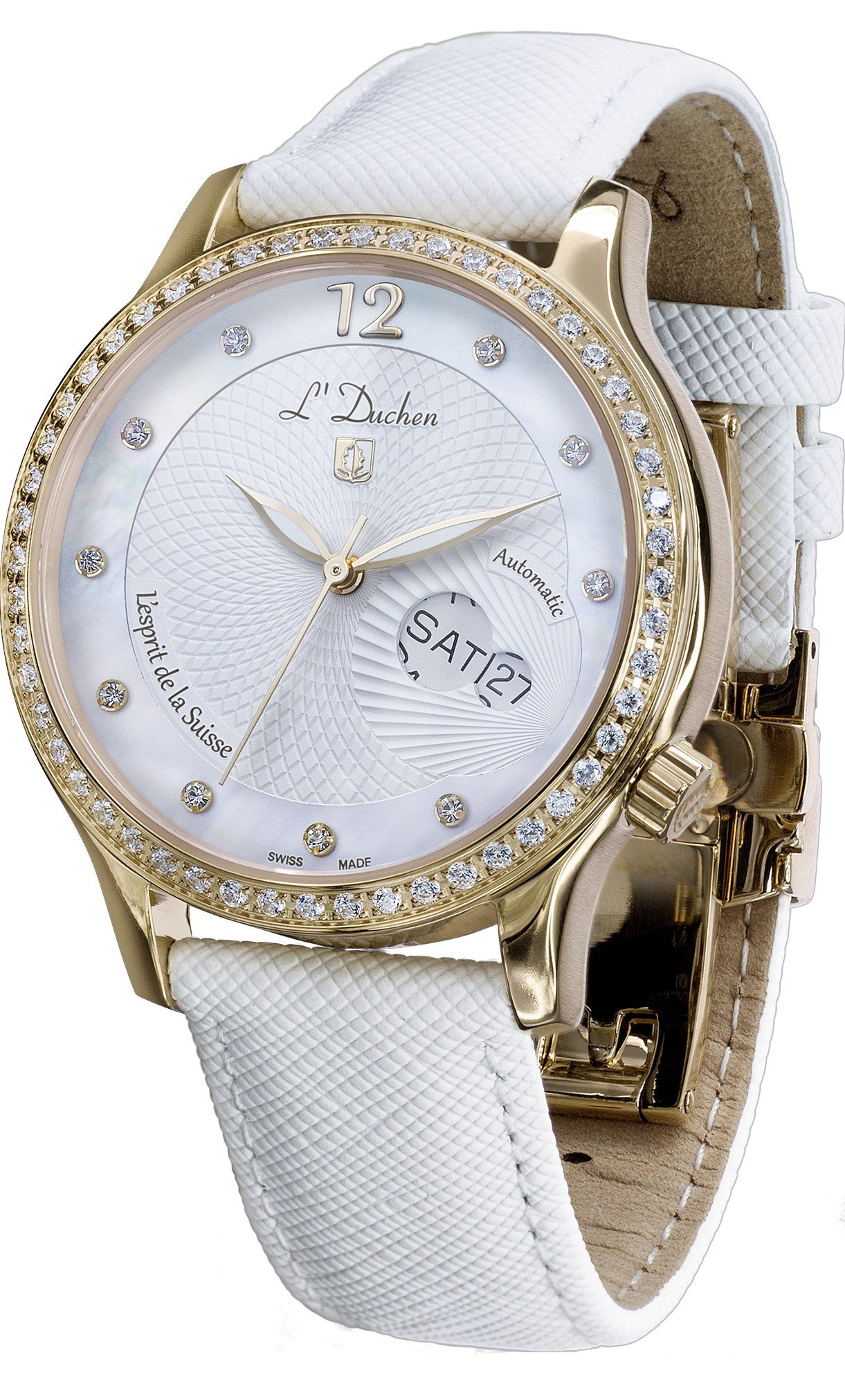 Coquille D 713.26.33