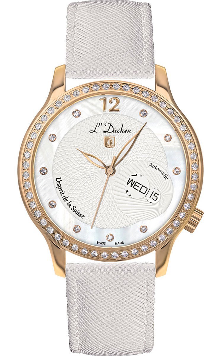 Coquille D 713.46.33