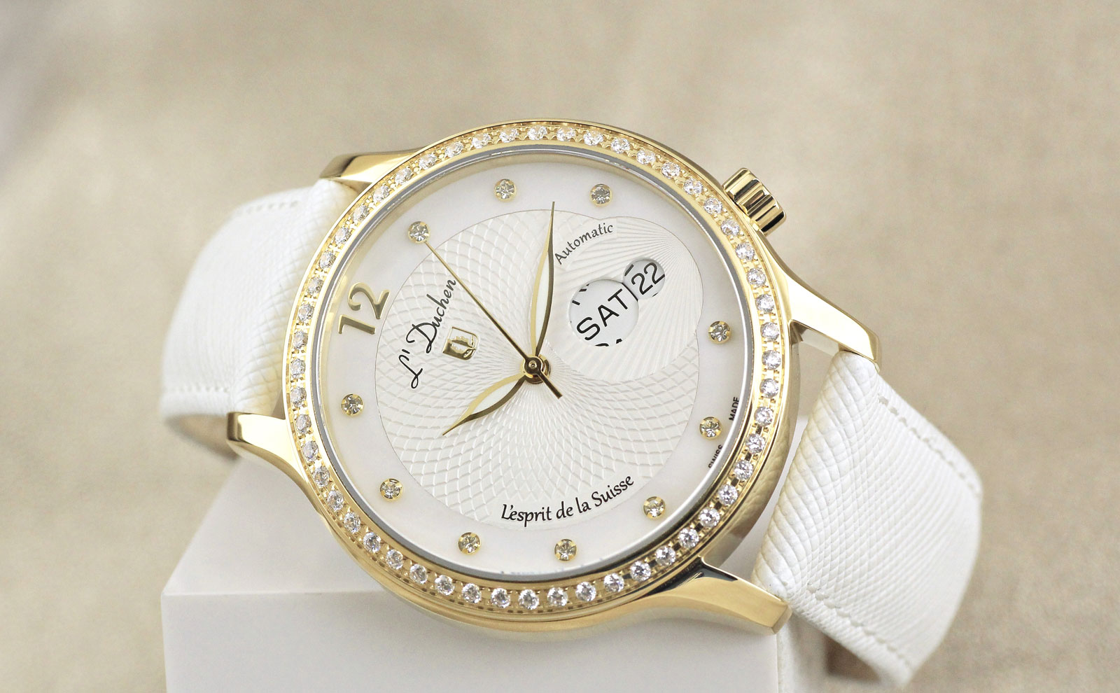 Coquille D 713.26.33