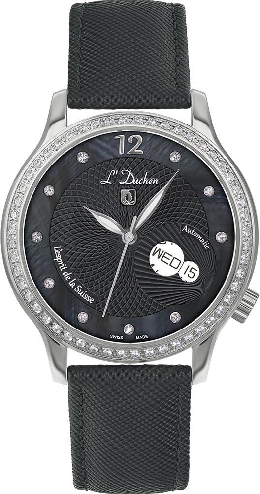 Coquille D 713.11.31