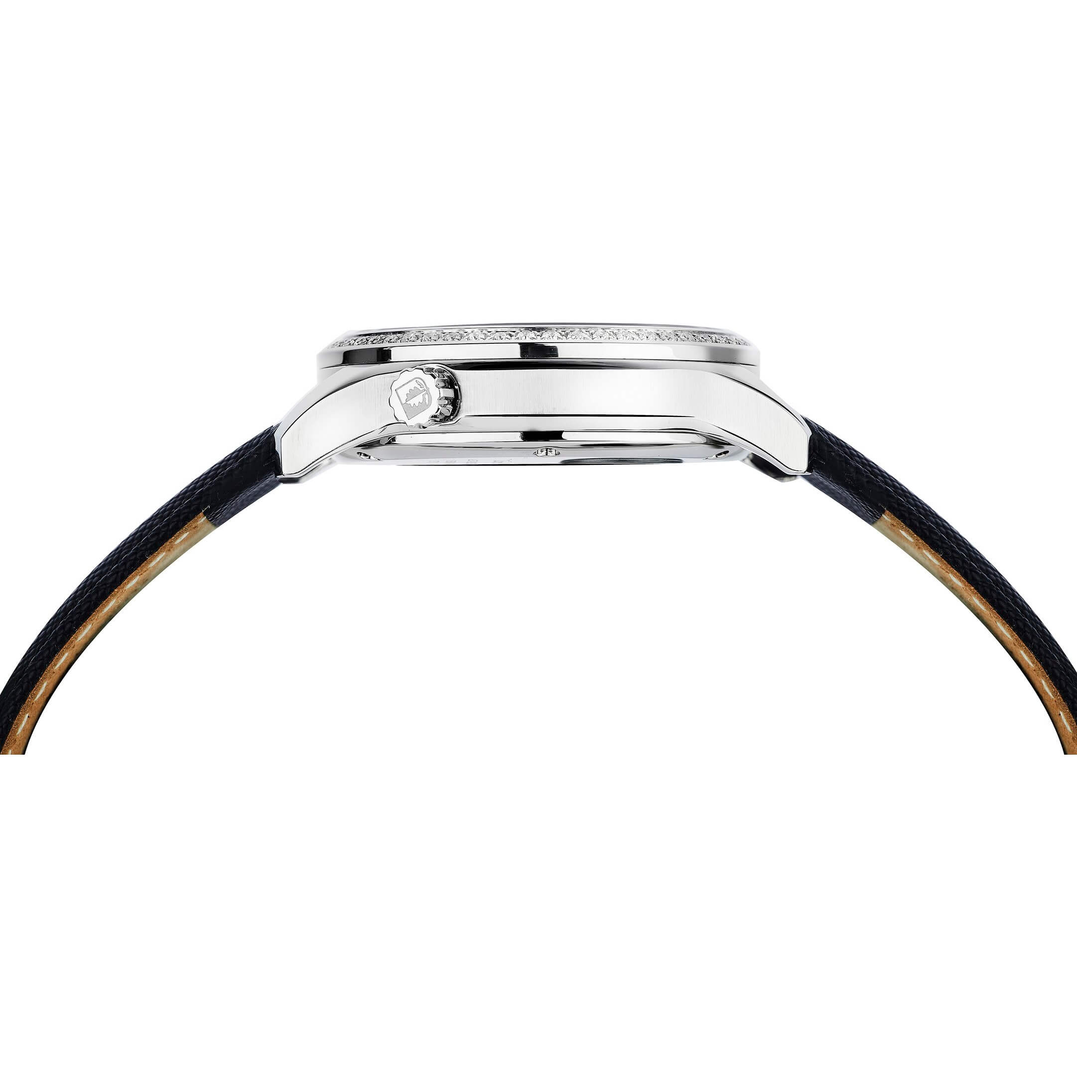 Coquille D 713.11.33